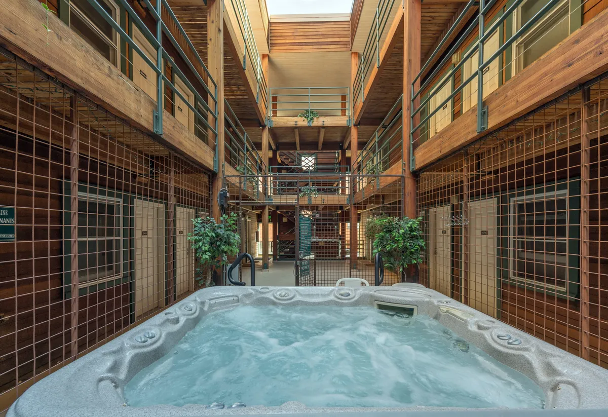 This image features an inviting communal hot tub surrounded by warm wooden balconies and lush indoor plants, bathed in gentle, ambient lighting. The setting conveys a tranquil atmosphere ideal for unwinding after outdoor adventures, with visible space for socializing or quiet relaxation.